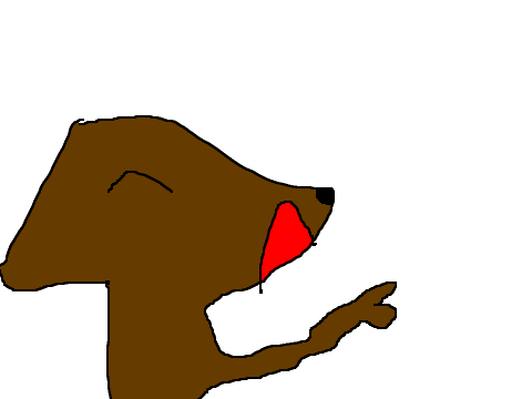 the new fox in town