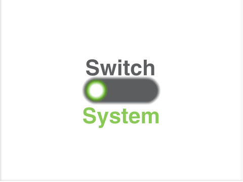 Switch system