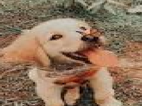 ♡
