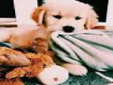 Ｒｅｔｒｉｅｖｅｒｓ