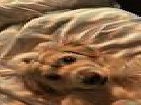 -----------------------------------