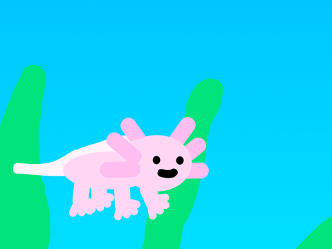 AXOLOTL