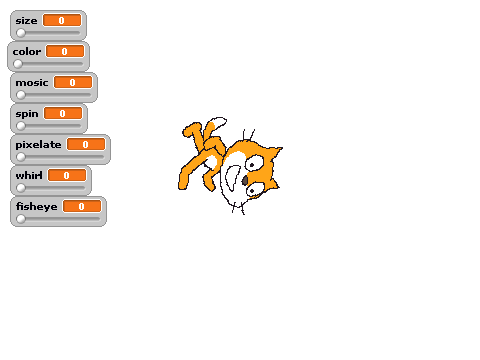 custumize your own cat