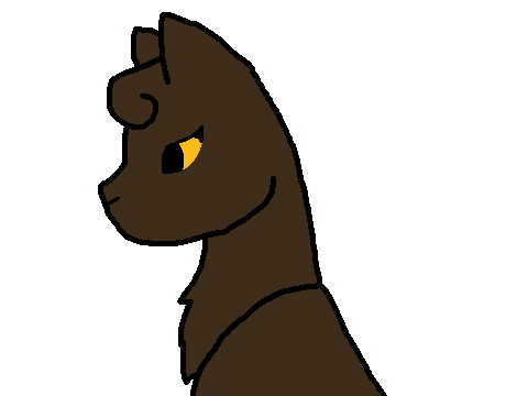 Working on My Animation Skills