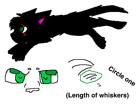 SignUp Sheet (warrior cat RPG) remix