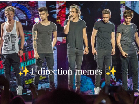 -ˏˋ1 direction memes to make your day betterˊˎ-