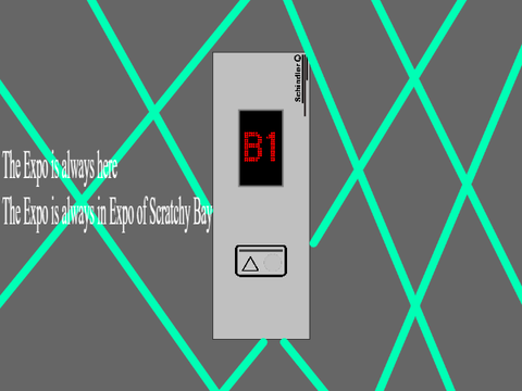 Schindler M/V lift @ One Expo of Scratchy Bay