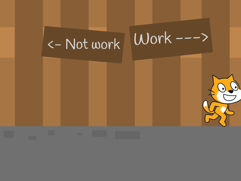 cat office