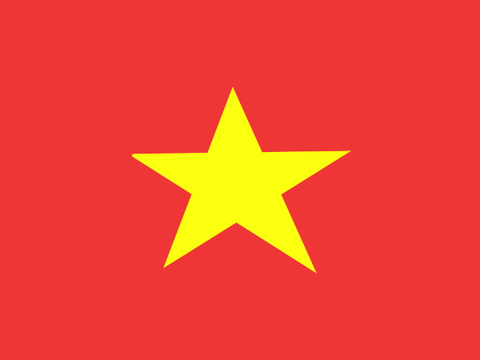 Vietman Flag