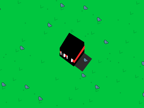 3D Ninja Cube