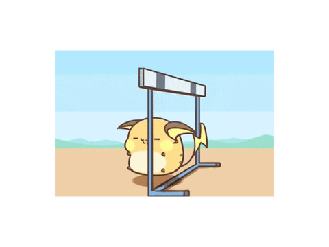 Raichu Sports