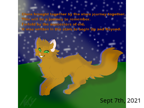 Up and Beyond tag contest entry comparison 2013 vs 2021