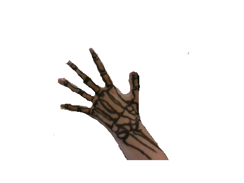 skeleton hand