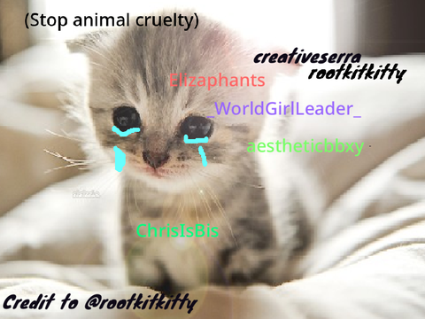 ( sign if you hate animal cruelty(ORIGINAL BY @creativeserra)) remix remix remix