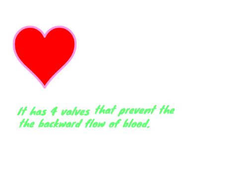 The Heart - Fast Knowledge(Part -1)