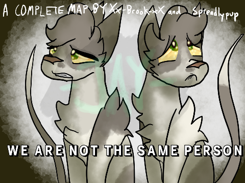 We Are Not the Same Person - TNE