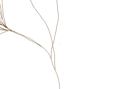 Branch Builder