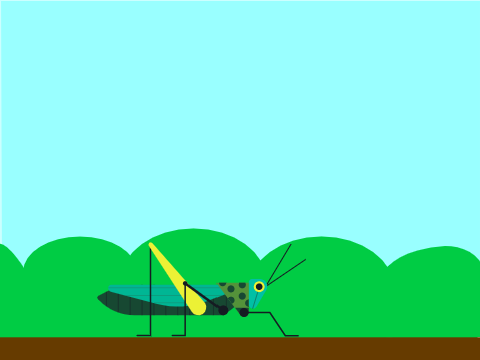 Grasshopper, Grasshopper...