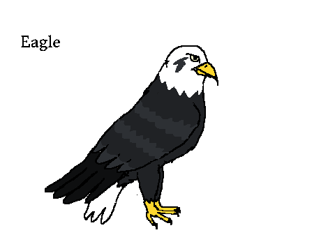 Hawk/Falcon Adopts