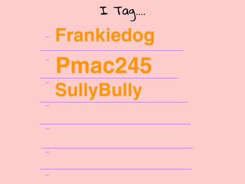 ◉TAG◉ About You remix