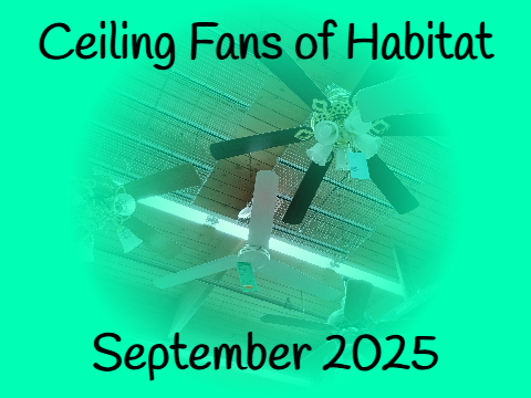 Ceiling Fans of Habitat - September 2025