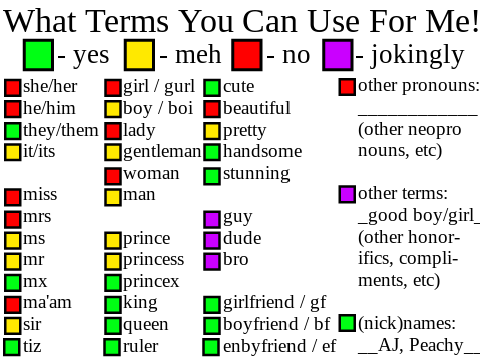 What Terms You Can Use For Me <3 [UPDATED PRONOUNS]