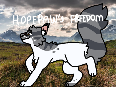 HOPEPAW'S FREEDOM - QNA + INTRO
