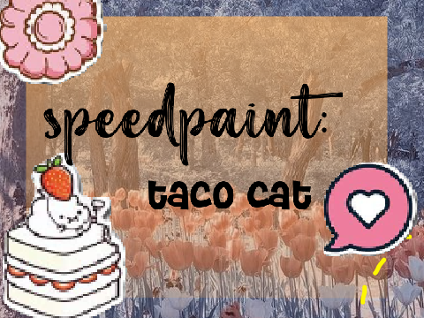 ෆ speedpaint - taco cat⌟