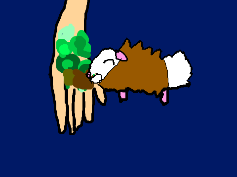 Chex Hand Feeding