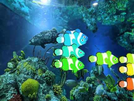 aquarium spam