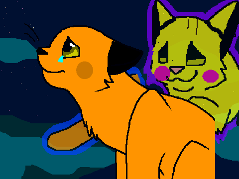Raichu misses pichu 