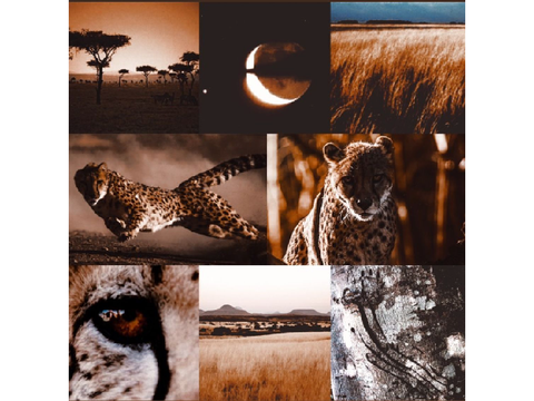 Moodboards for custom
