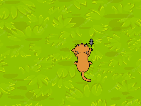cat chace ( work in progress! this is the test version )
