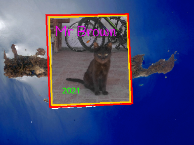 my cats
