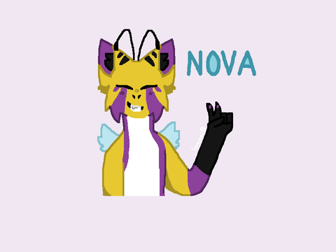 Nova