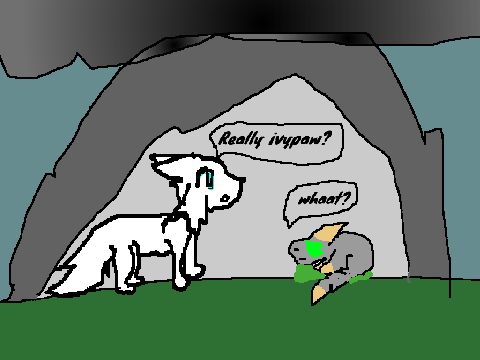Life in thunderclan
