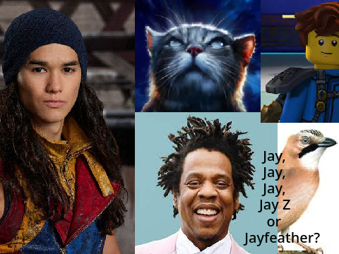 Who do you like best?
