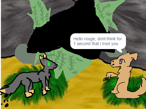 life in thunder clan