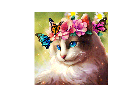 what my cat looks like real life 