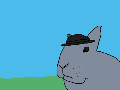 I drew a picture of my bunny.