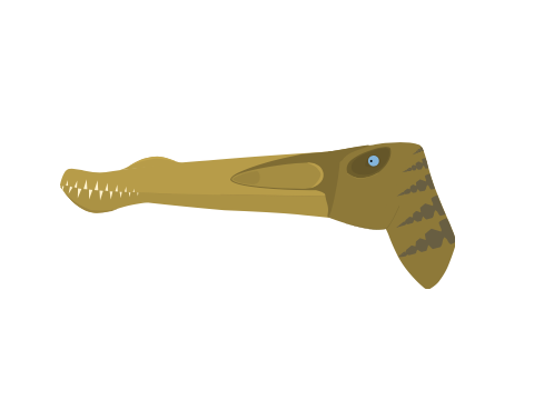 Araripesaurus Art