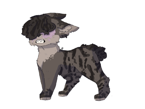 \\ Challenge Catos //