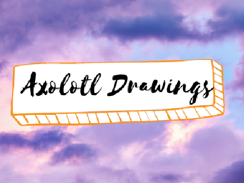 Axolotl drawings