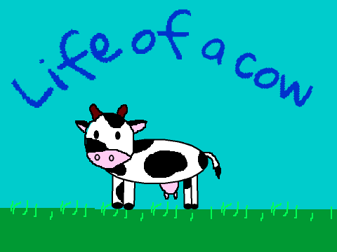Life of a cow