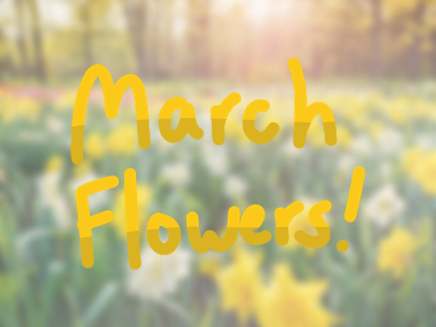 ➼ | [CLOSED] march flowers litter . tfcrp !!