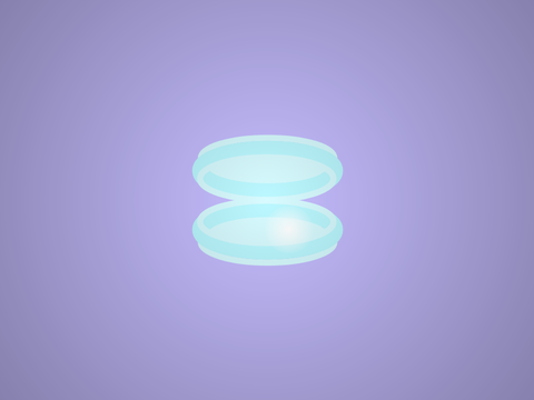 Clam