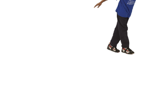 sprite randomizer
