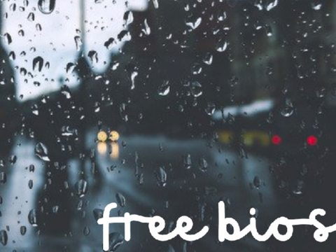 ❦ free bios ꒦꒷.