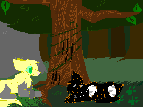 Warrior Cats - Feud of Clans 
