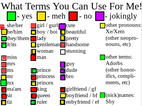 What Terms You Can Use For Me remix
